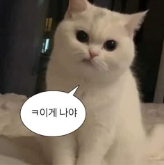 친구프로필3