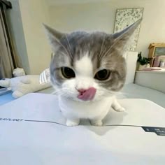 친구프로필4