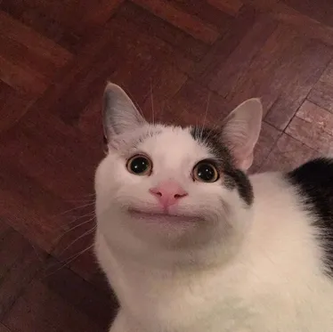 친구프로필2